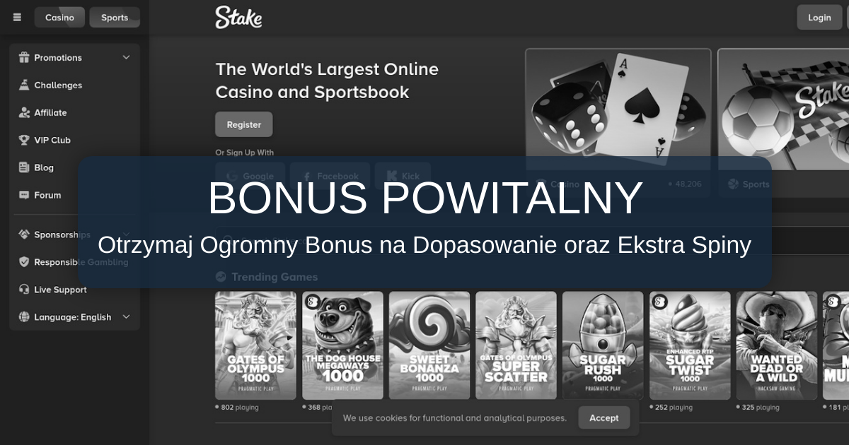 Stake Casino